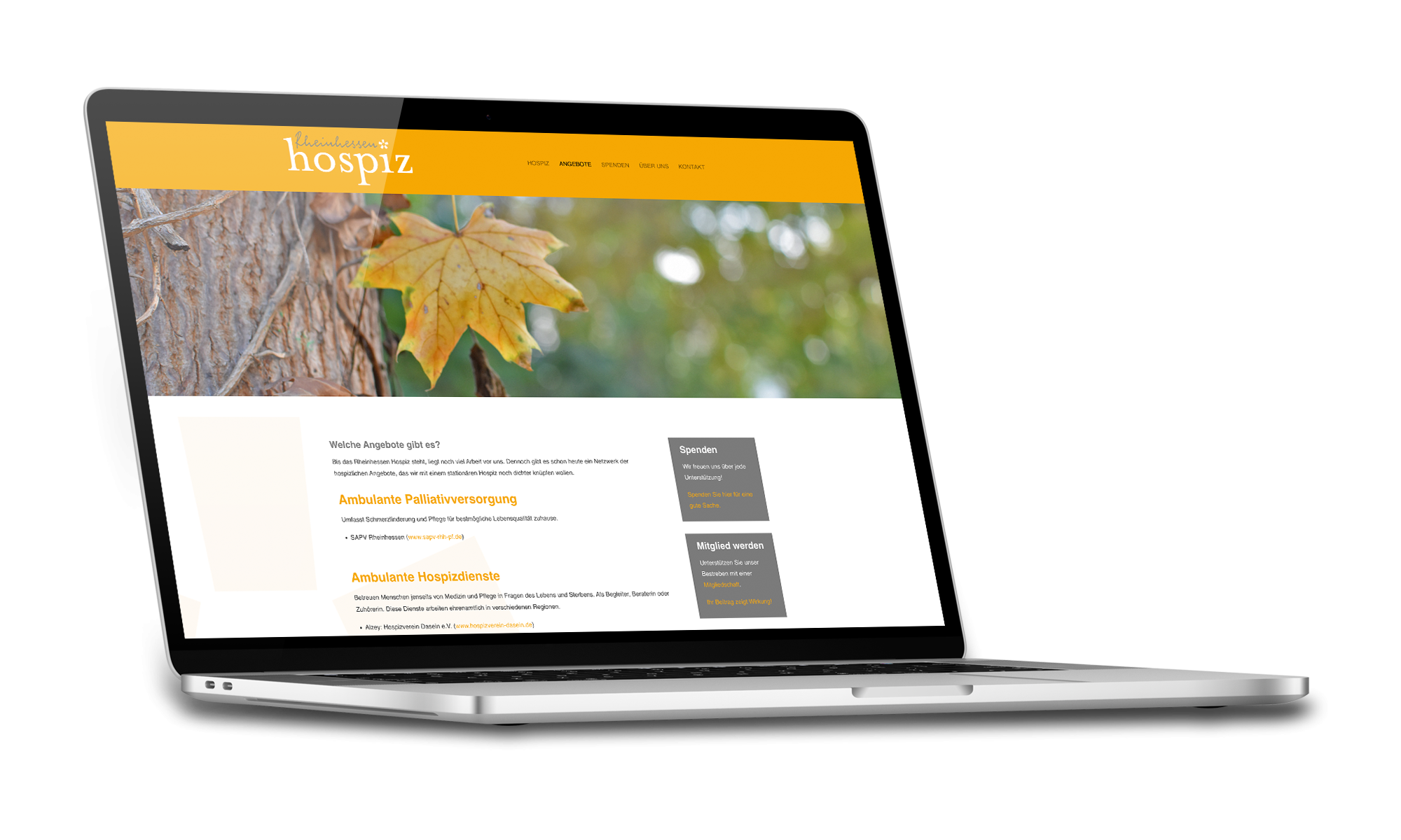 Webseite_RheinhessenHospiz_Laptop